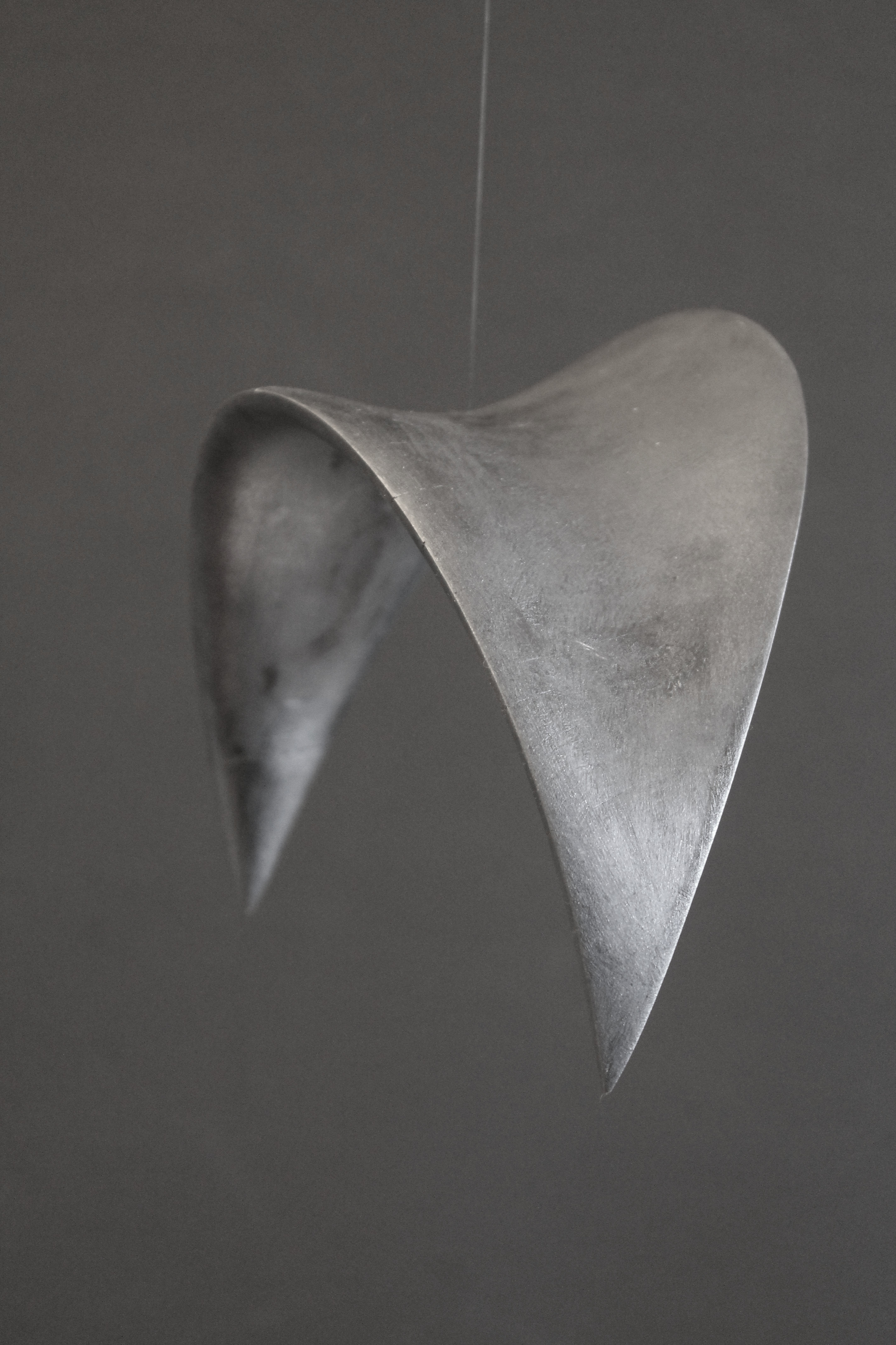 Kleine Fledermaus
